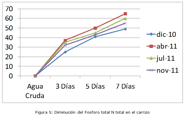 Figura 5: Disminución del fósforo total con en el carrizo
