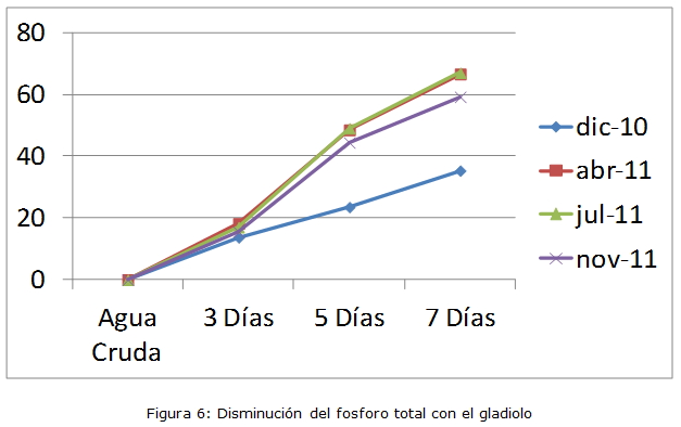 Figura 6: Disminución del fósforo total con el gladiolo