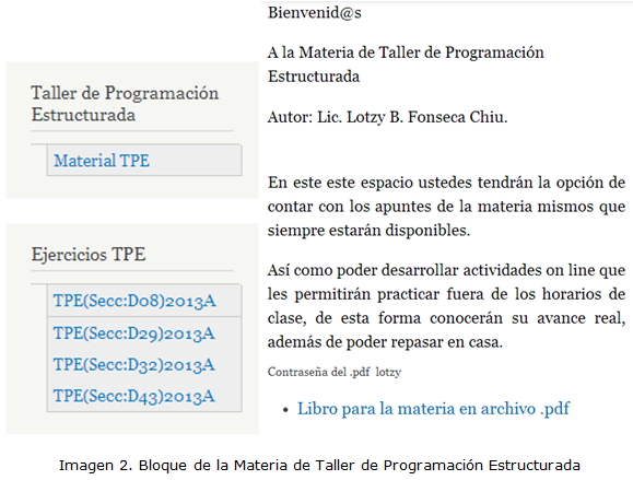 Imagen 2. Bloque de la Materia de Taller de Programación Estructurada